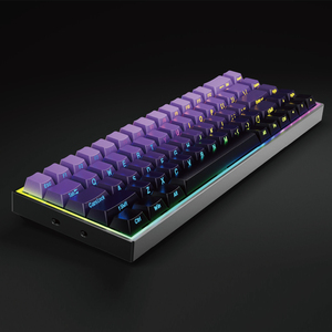 Hot Swappable 68 Keys Gaming Keyboard with Side Printed PBT Keycaps Blue Switch Mechanical Keyboard