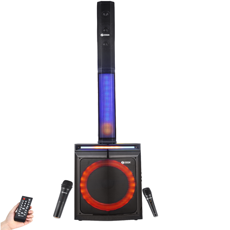 ZOOOK PARTY ROCKER